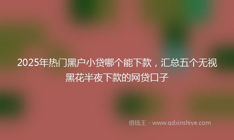 2025年热门黑户小贷哪个能下款，汇总五个无视黑花半夜下款的网贷口子