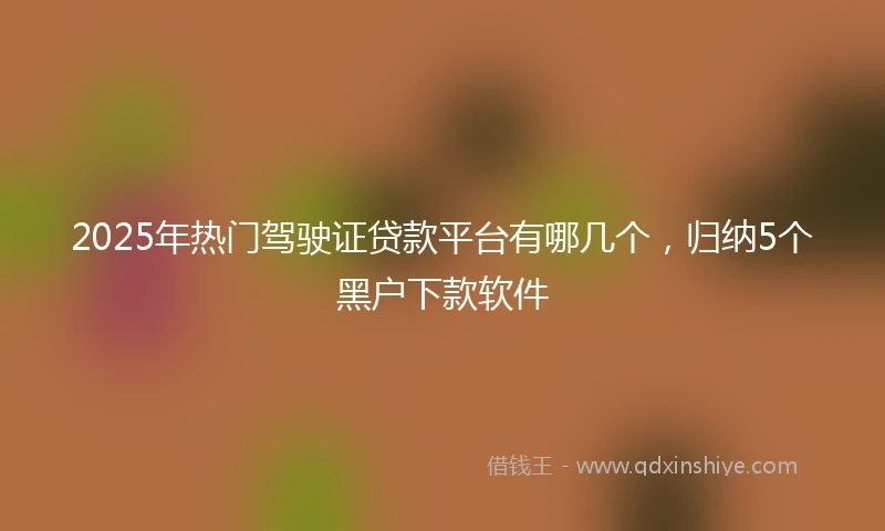 2025年热门驾驶证贷款平台有哪几个，归纳5个黑户下款软件