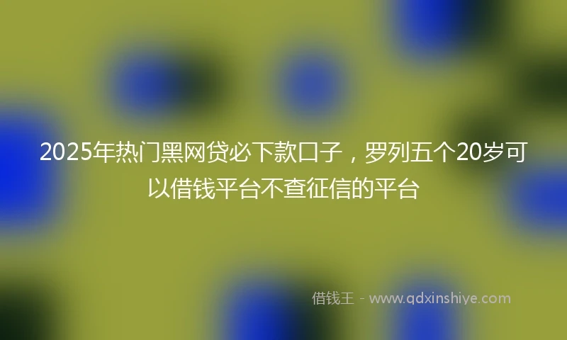 2025年热门黑网贷必下款口子，罗列五个20岁可以借钱平台不查征信的平台