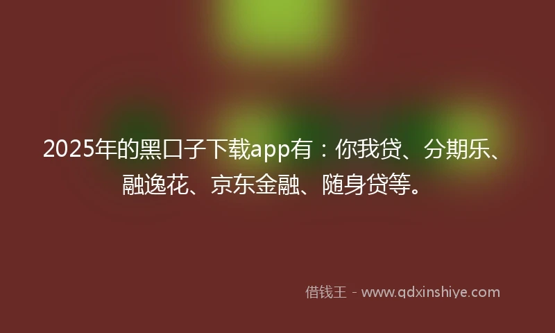 2025年的黑口子下载app有：你我贷、分期乐、融逸花、京东金融、随身贷等。