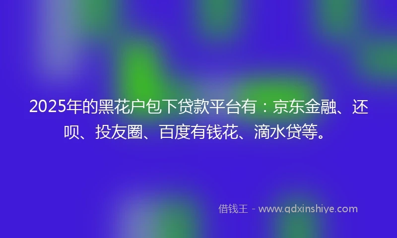 2025年的黑花户包下贷款平台有：京东金融、还呗、投友圈、百度有钱花、滴水贷等。
