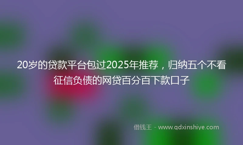 20岁的贷款平台包过2025年推荐，归纳五个不看征信负债的网贷百分百下款口子