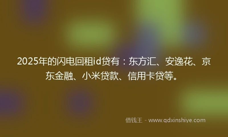 2025年的闪电回租id贷有：东方汇、安逸花、京东金融、小米贷款、信用卡贷等。