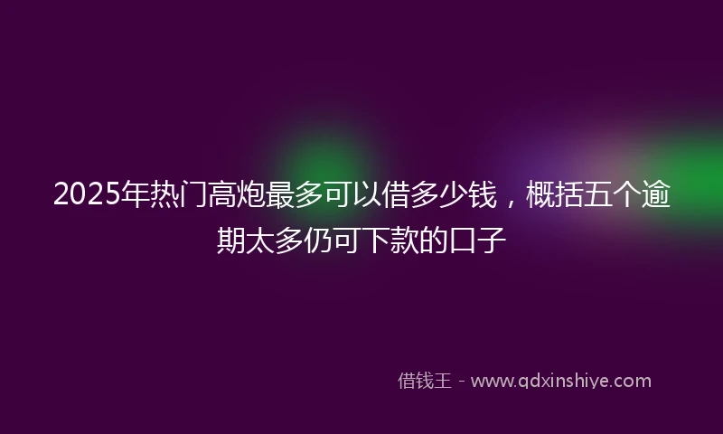 2025年热门高炮最多可以借多少钱，概括五个逾期太多仍可下款的口子