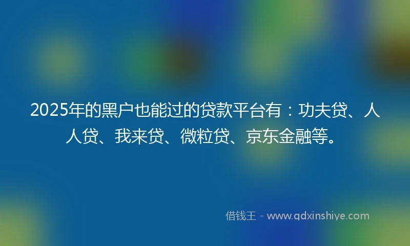 2025年的黑户也能过的贷款平台有：功夫贷、人人贷、我来贷、微粒贷、京东金融等。
