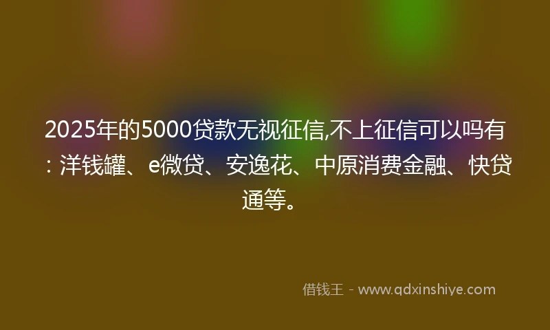 2025年的5000贷款无视征信,不上征信可以吗有：洋钱罐、e微贷、安逸花、中原消费金融、快贷通等。