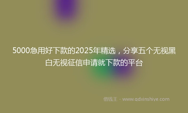 5000急用好下款的2025年精选，分享五个无视黑白无视征信申请就下款的平台