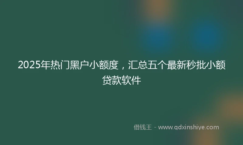 2025年热门黑户小额度，汇总五个最新秒批小额贷款软件