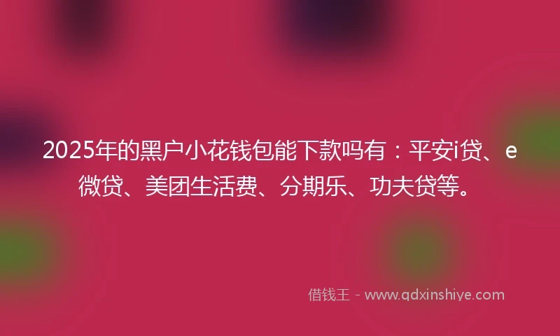 2025年的黑户小花钱包能下款吗有：平安i贷、e微贷、美团生活费、分期乐、功夫贷等。