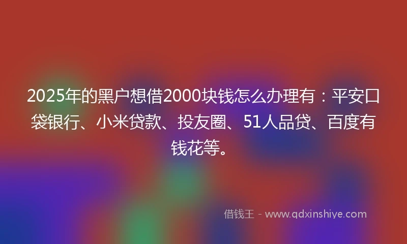 2025年的黑户想借2000块钱怎么办理有：平安口袋银行、小米贷款、投友圈、51人品贷、百度有钱花等。