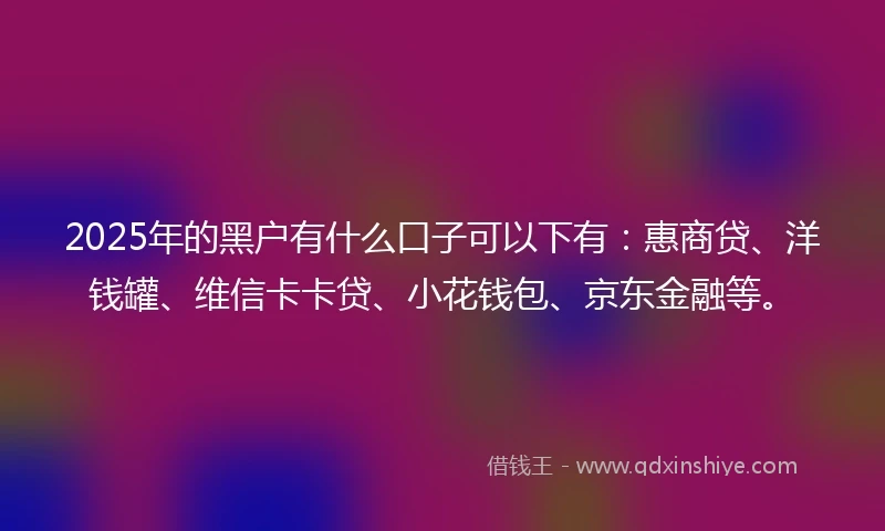 2025年的黑户有什么口子可以下有：惠商贷、洋钱罐、维信卡卡贷、小花钱包、京东金融等。