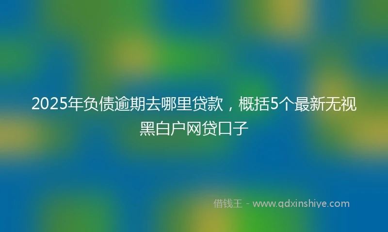 2025年负债逾期去哪里贷款，概括5个最新无视黑白户网贷口子