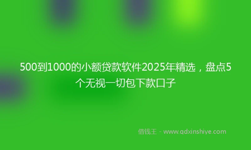 500到1000的小额贷款软件2025年精选，盘点5个无视一切包下款口子