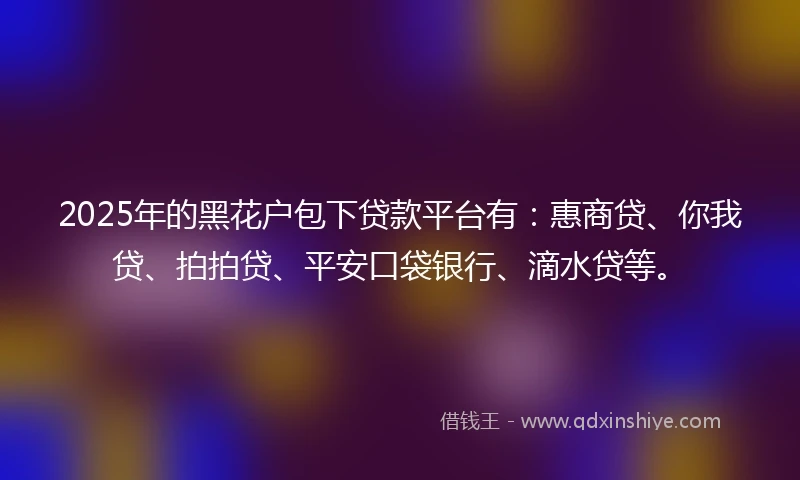 2025年的黑花户包下贷款平台有：惠商贷、你我贷、拍拍贷、平安口袋银行、滴水贷等。