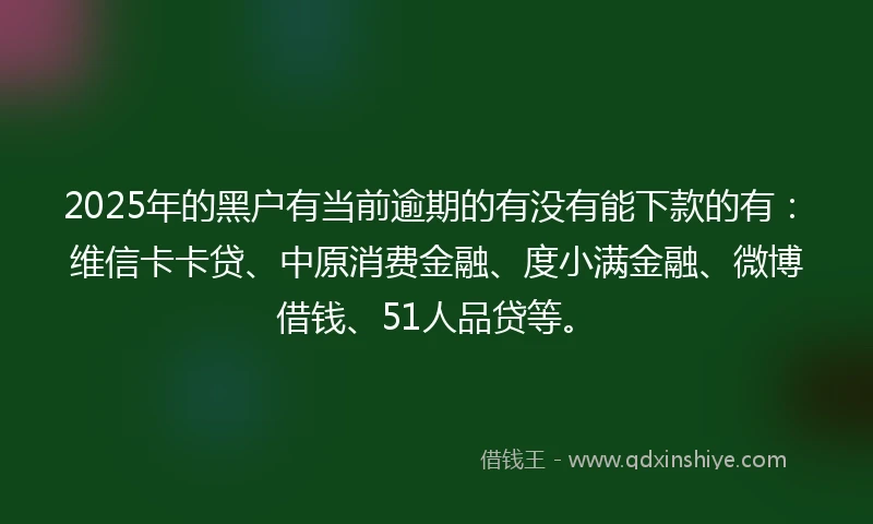 2025年的黑户有当前逾期的有没有能下款的有：维信卡卡贷、中原消费金融、度小满金融、微博借钱、51人品贷等。
