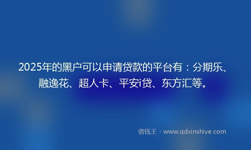 2025年的黑户可以申请贷款的平台有：分期乐、融逸花、超人卡、平安i贷、东方汇等。