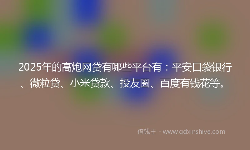 2025年的高炮网贷有哪些平台有：平安口袋银行、微粒贷、小米贷款、投友圈、百度有钱花等。