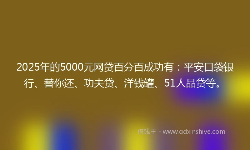 2025年的5000元网贷百分百成功有：平安口袋银行、替你还、功夫贷、洋钱罐、51人品贷等。