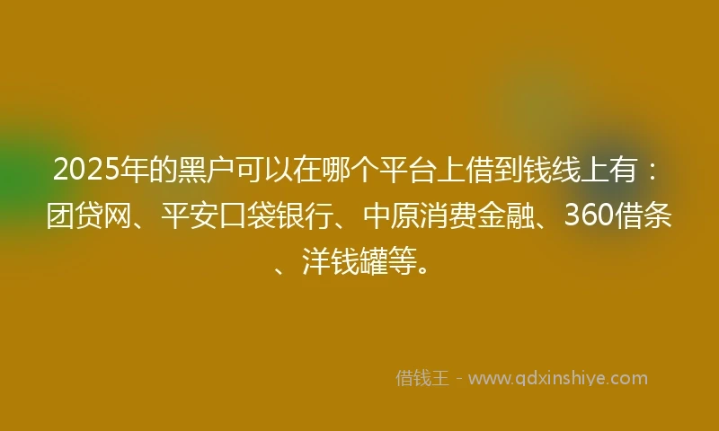 2025年的黑户可以在哪个平台上借到钱线上有：团贷网、平安口袋银行、中原消费金融、360借条、洋钱罐等。