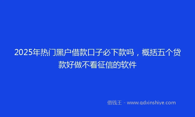 2025年热门黑户借款口子必下款吗，概括五个贷款好做不看征信的软件