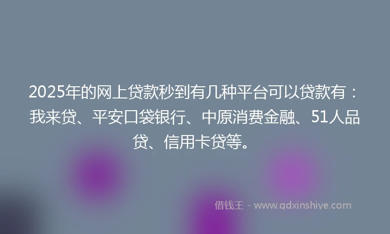 2025年的网上贷款秒到有几种平台可以贷款有：我来贷、平安口袋银行、中原消费金融、51人品贷、信用卡贷等。