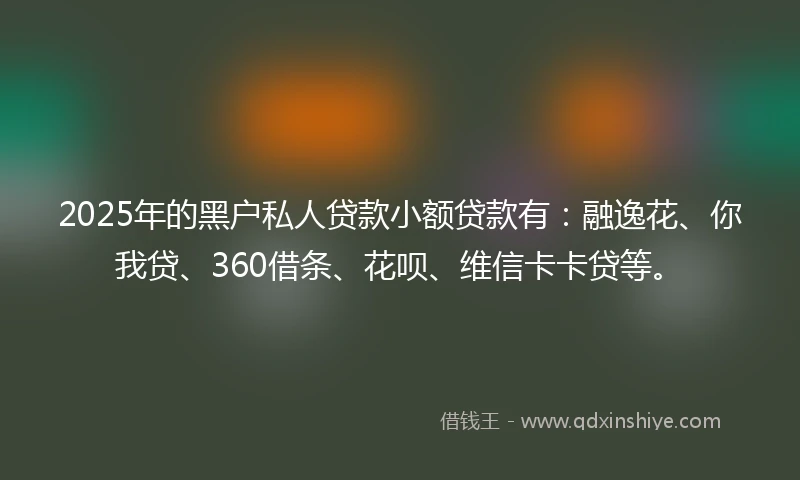 2025年的黑户私人贷款小额贷款有：融逸花、你我贷、360借条、花呗、维信卡卡贷等。