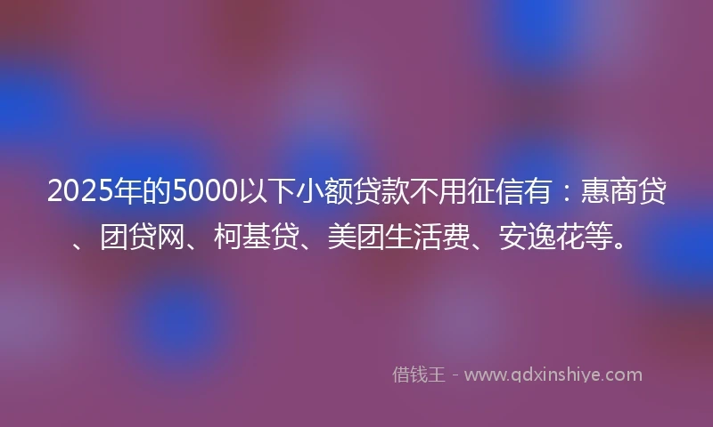 2025年的5000以下小额贷款不用征信有：惠商贷、团贷网、柯基贷、美团生活费、安逸花等。