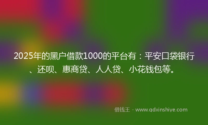 2025年的黑户借款1000的平台有：平安口袋银行、还呗、惠商贷、人人贷、小花钱包等。