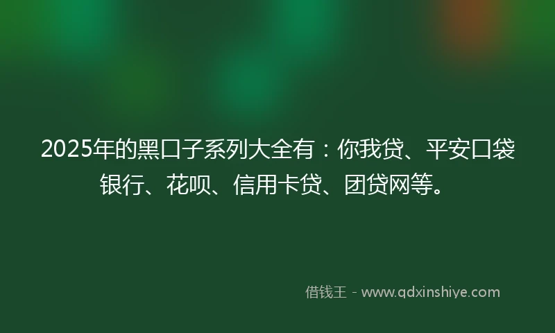 2025年的黑口子系列大全有：你我贷、平安口袋银行、花呗、信用卡贷、团贷网等。