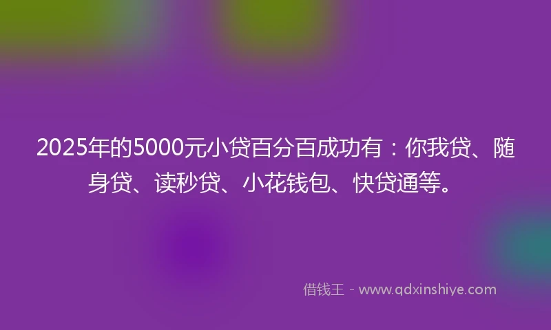 2025年的5000元小贷百分百成功有:你我贷、随身贷、读秒贷、小花钱包、快贷通等。
