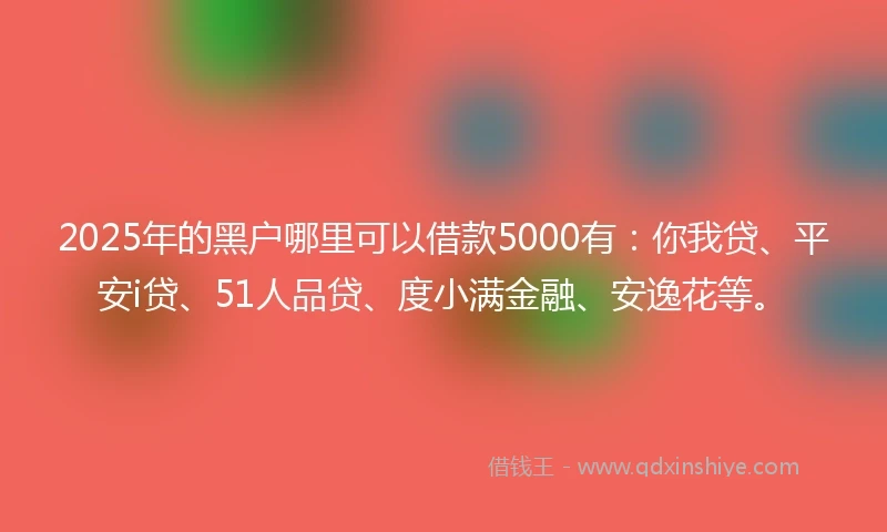 2025年的黑户哪里可以借款5000有：你我贷、平安i贷、51人品贷、度小满金融、安逸花等。
