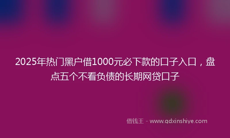 2025年热门黑户借1000元必下款的口子入口，盘点五个不看负债的长期网贷口子