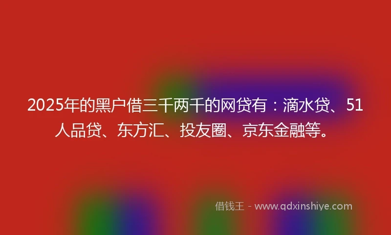 2025年的黑户借三千两千的网贷有：滴水贷、51人品贷、东方汇、投友圈、京东金融等。