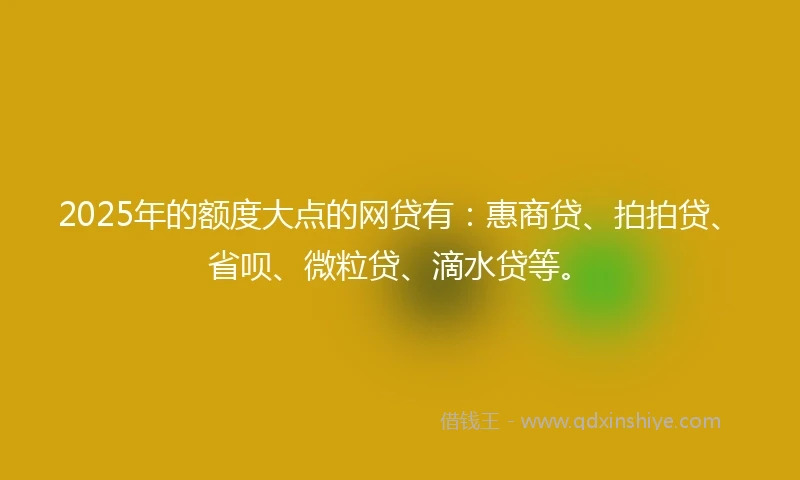 2025年的额度大点的网贷有：惠商贷、拍拍贷、省呗、微粒贷、滴水贷等。