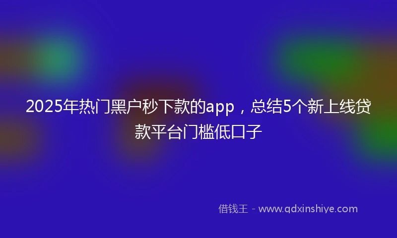 2025年热门黑户秒下款的app，总结5个新上线贷款平台门槛低口子