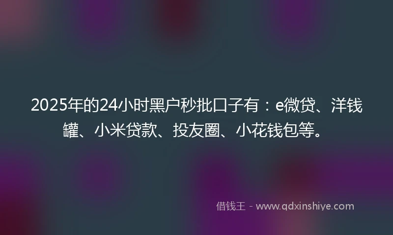 2025年的24小时黑户秒批口子有：e微贷、洋钱罐、小米贷款、投友圈、小花钱包等。