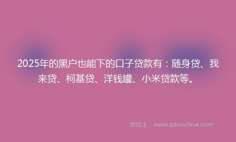 2025年的黑户也能下的口子贷款有：随身贷、我来贷、柯基贷、洋钱罐、小米贷款等。
