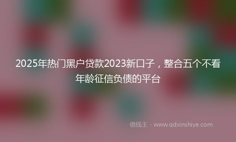 2025年热门黑户贷款2023新口子，整合五个不看年龄征信负债的平台