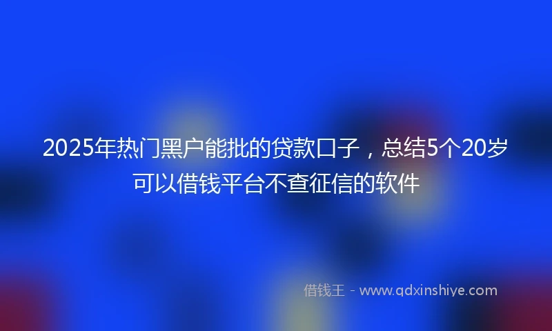 2025年热门黑户能批的贷款口子，总结5个20岁可以借钱平台不查征信的软件