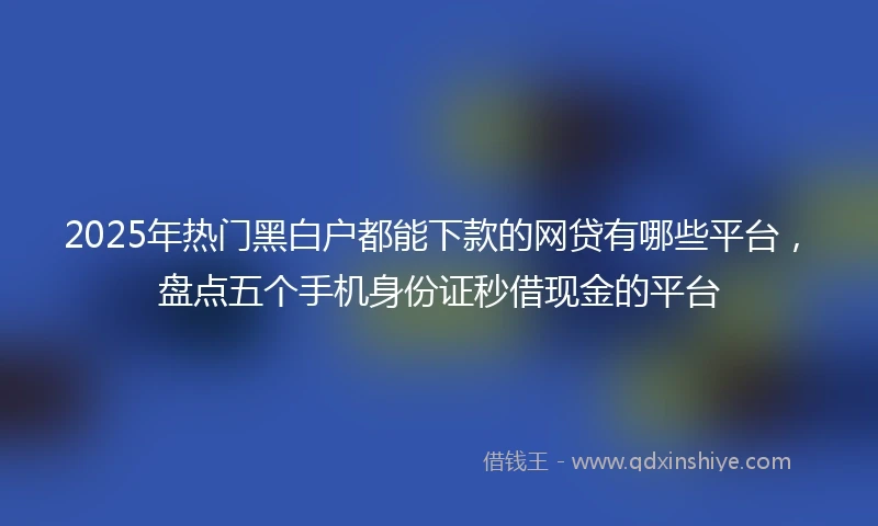 2025年热门黑白户都能下款的网贷有哪些平台，盘点五个手机身份证秒借现金的平台
