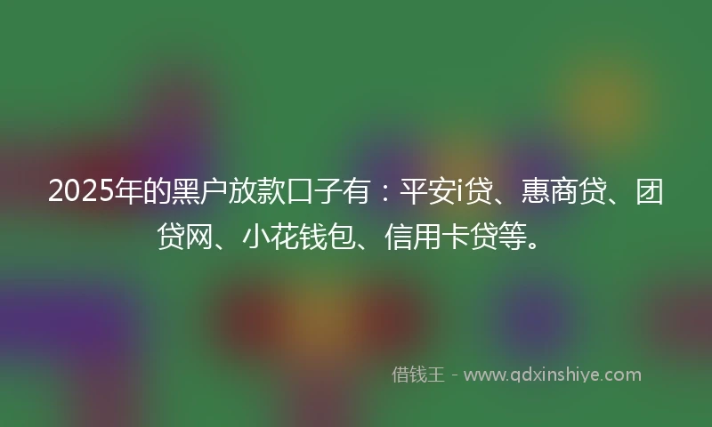 2025年的黑户放款口子有：平安i贷、惠商贷、团贷网、小花钱包、信用卡贷等。