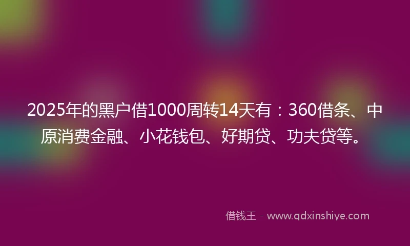 2025年的黑户借1000周转14天有：360借条、中原消费金融、小花钱包、好期贷、功夫贷等。