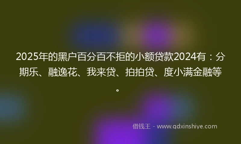 2025年的黑户百分百不拒的小额贷款2024有：分期乐、融逸花、我来贷、拍拍贷、度小满金融等。