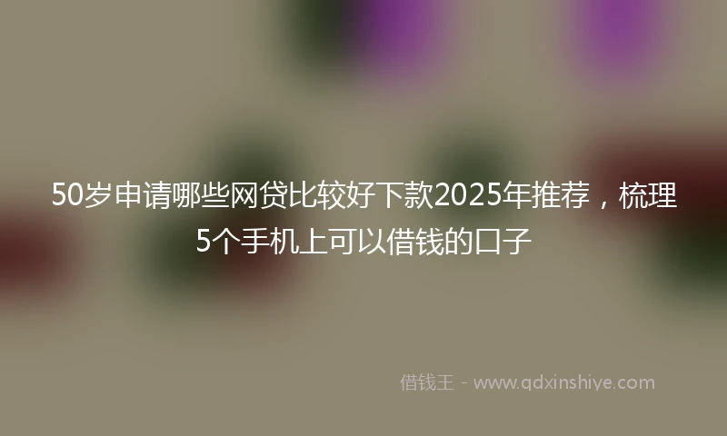 50岁申请哪些网贷比较好下款2025年推荐，梳理5个手机上可以借钱的口子