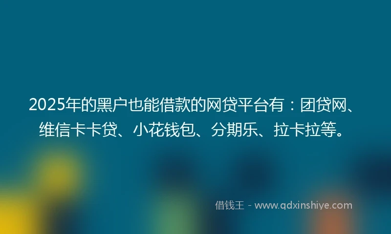 2025年的黑户也能借款的网贷平台有：团贷网、维信卡卡贷、小花钱包、分期乐、拉卡拉等。