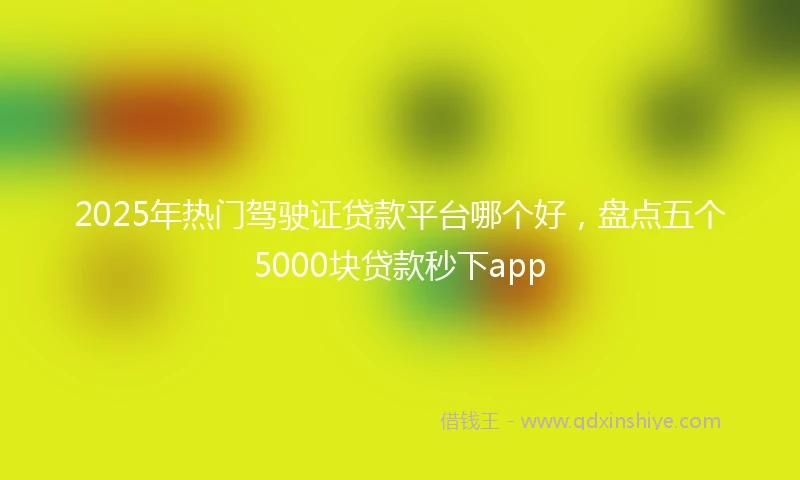 2025年热门驾驶证贷款平台哪个好，盘点五个5000块贷款秒下app