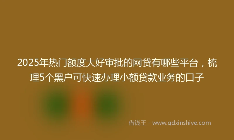 2025年热门额度大好审批的网贷有哪些平台，梳理5个黑户可快速办理小额贷款业务的口子