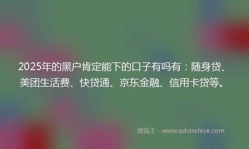 2025年的黑户肯定能下的口子有吗有：随身贷、美团生活费、快贷通、京东金融、信用卡贷等。