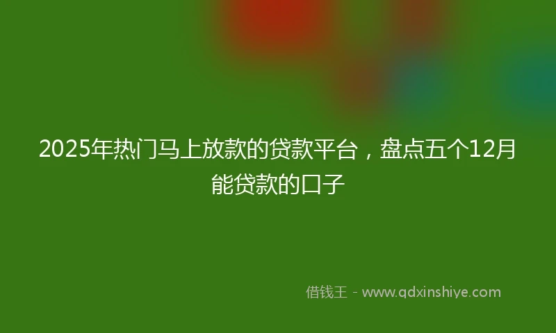 2025年热门马上放款的贷款平台，盘点五个12月能贷款的口子