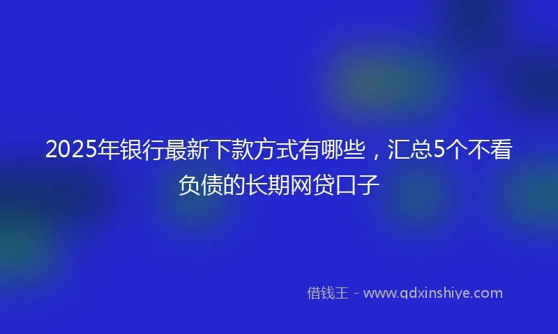 2025年银行最新下款方式有哪些，汇总5个不看负债的长期网贷口子